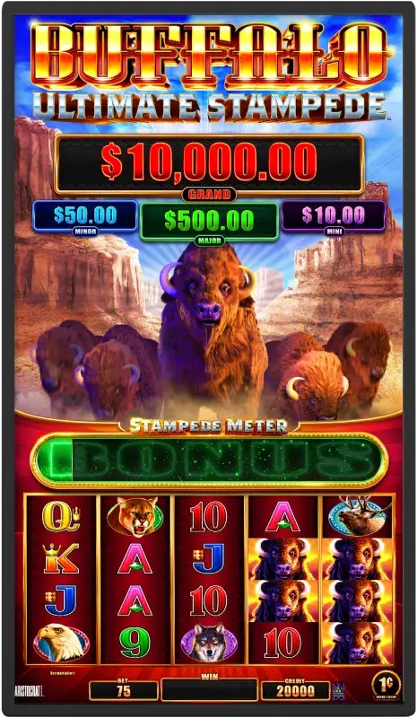 Buffalo themed slot machine game display