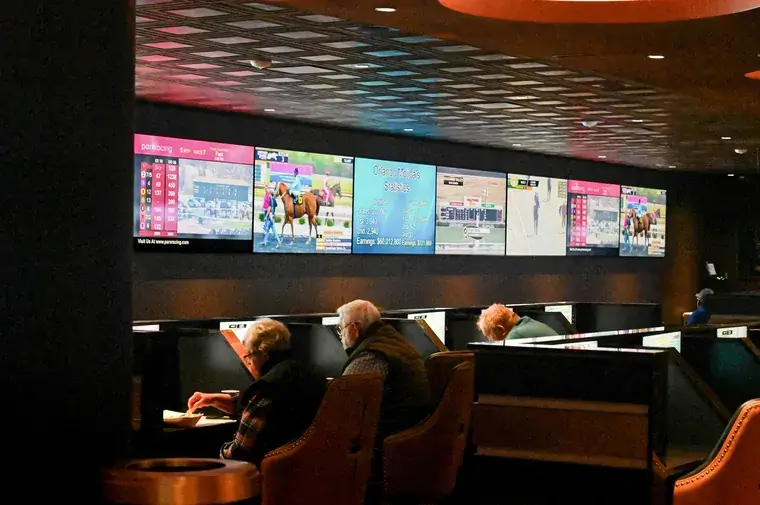 People watching horse races on multiple screens indoors