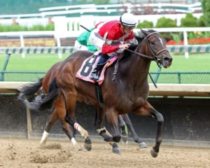 Trackside Big Races